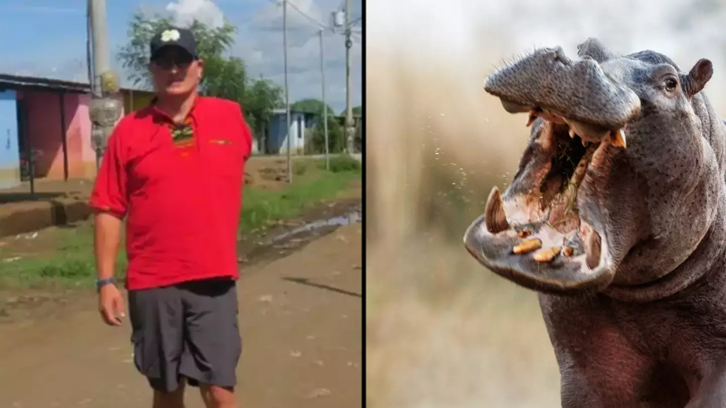 Bloke who was ripped apart and swallowed by hippo three times recalled moment everything went wrong
