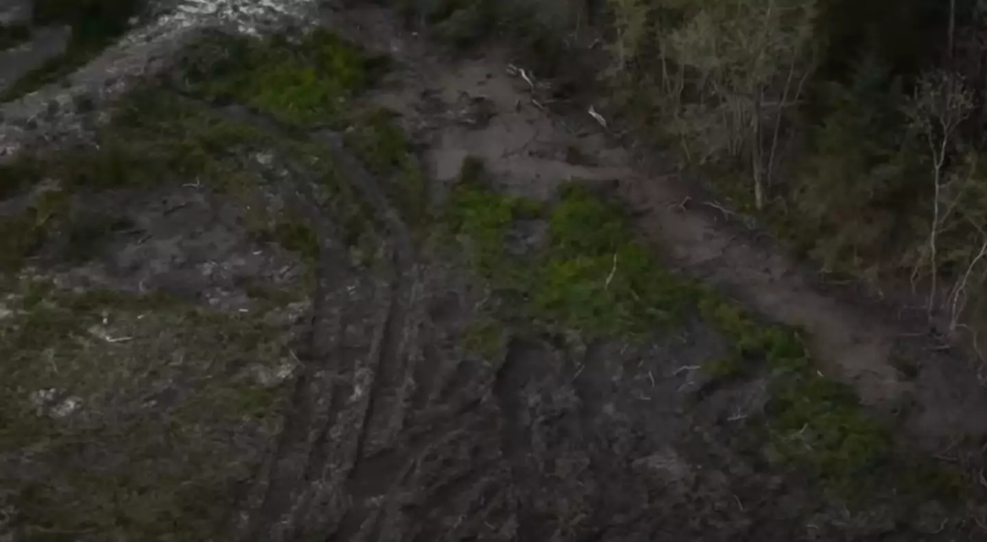 It's believed there are more bodies in the marshy stretch of land.