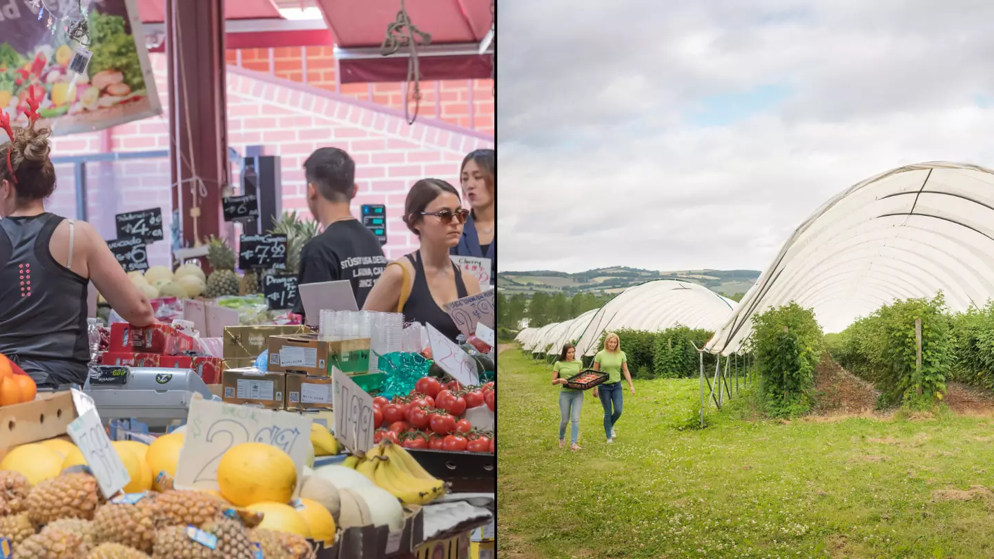 Fruit Pickers Are Now Guaranteed A Minimum Wage In Australia And That Could Cause Prices To Jump