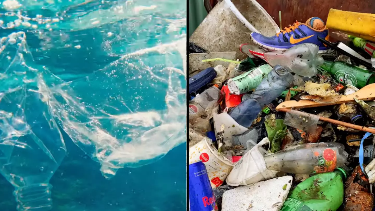 Incredible New Invention Hopes To Remove Plastic Waste From Our Waterways