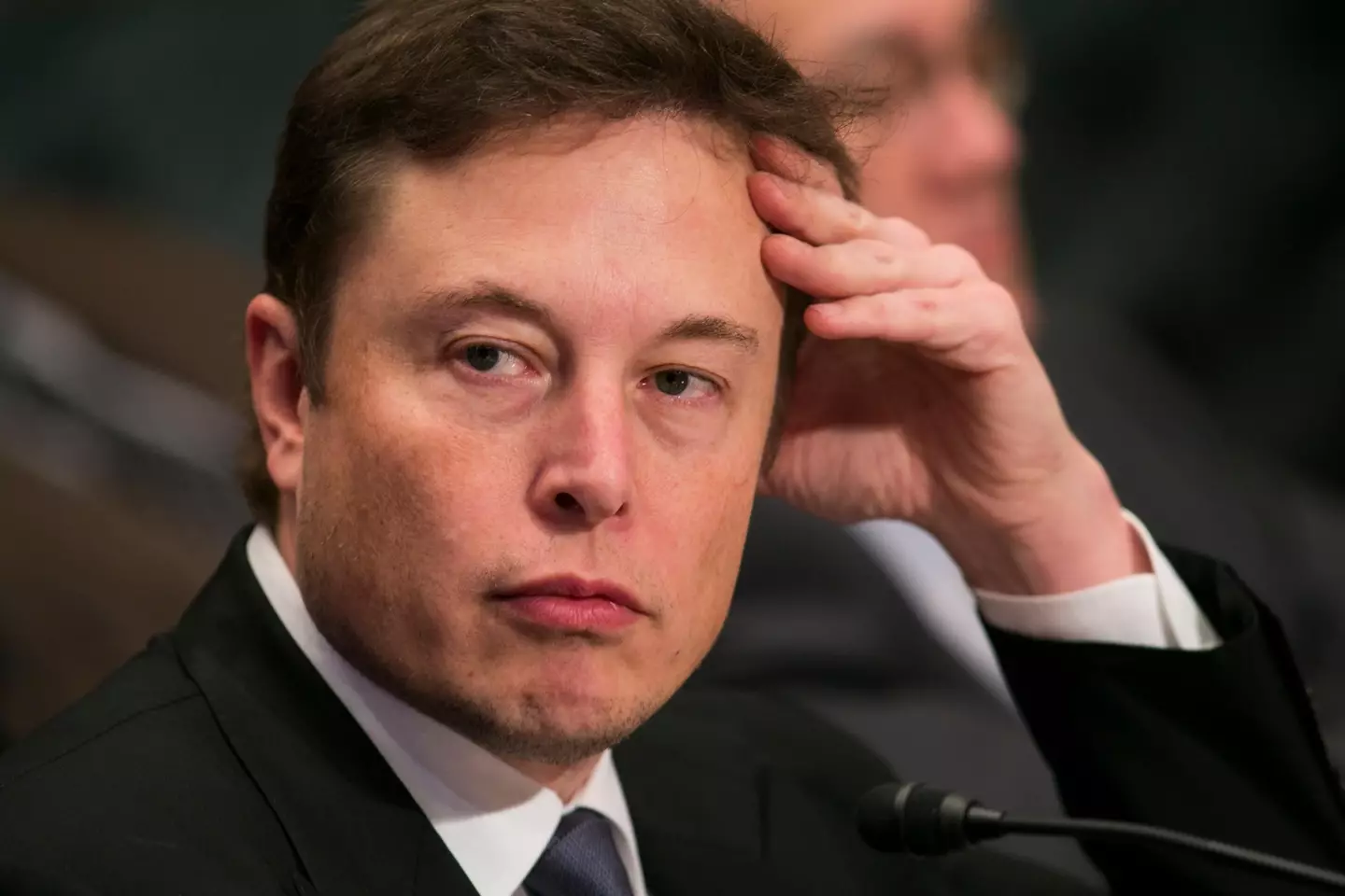"Oh no, my money!" - Elon Musk, probably.