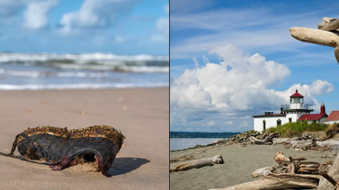 Grim truth behind 24 severed feet mysteriously washing up on paradise islands