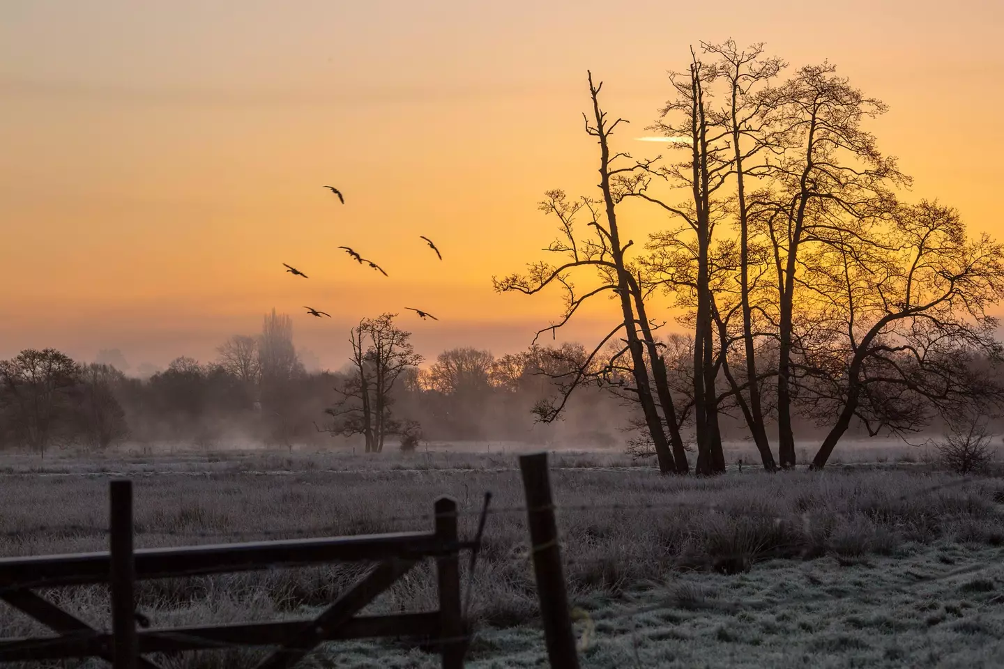 Temperatures could drop as low as -10C.