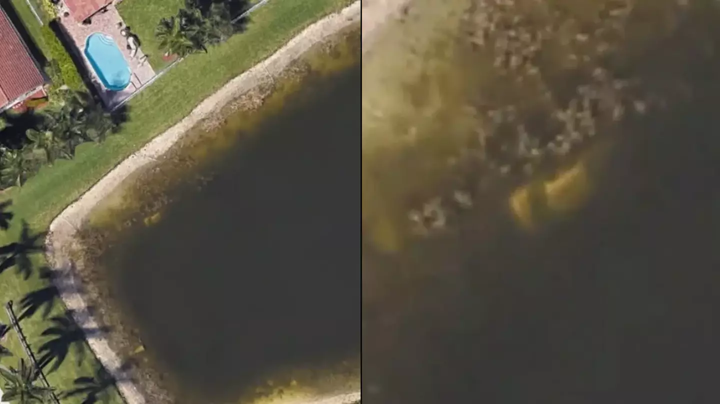 Man used Google Earth to find his old neighbourhood and found missing dead body instead