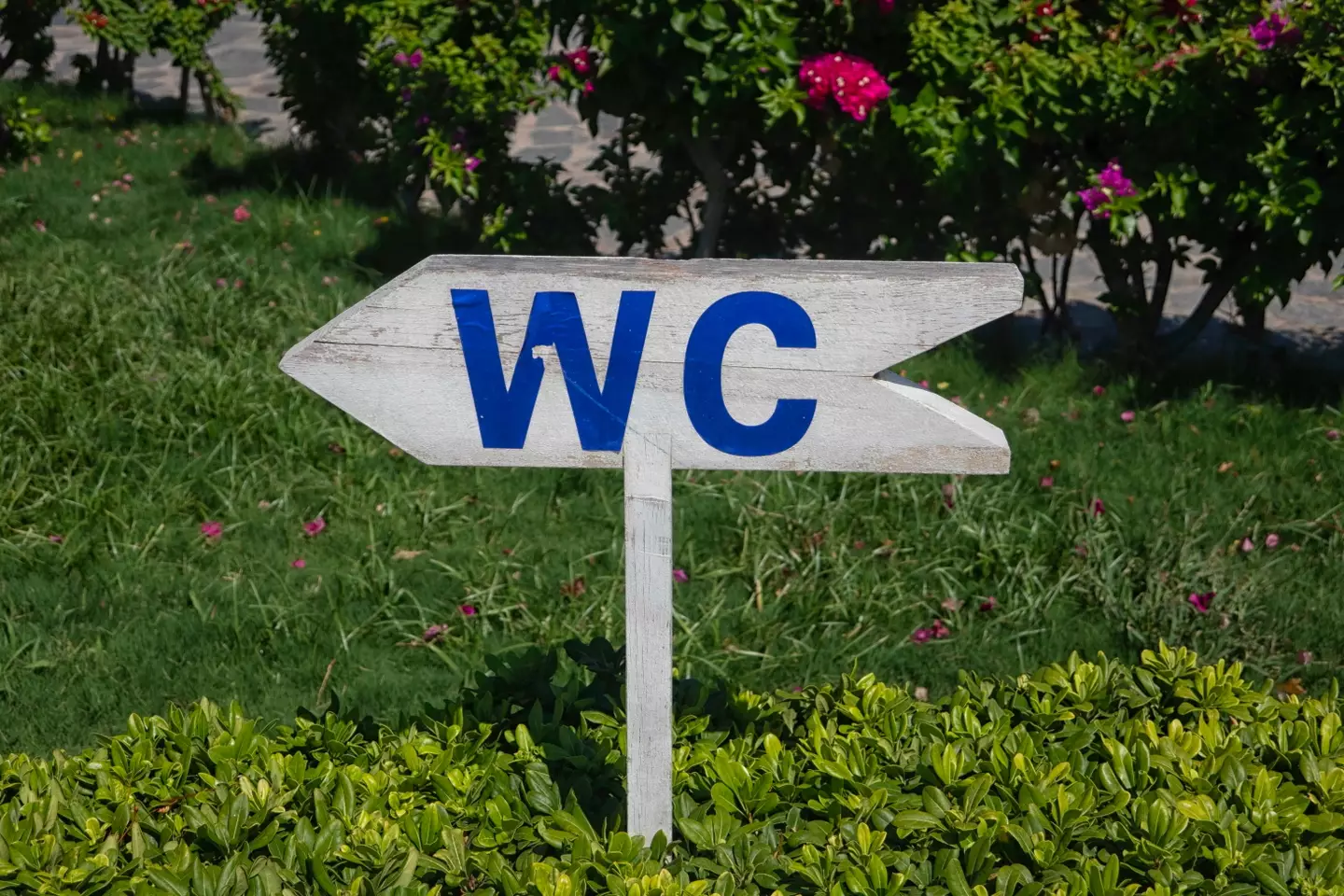 WC, or 'water closet', is basically just a term for the toilet that basically nobody would ever say out loud.