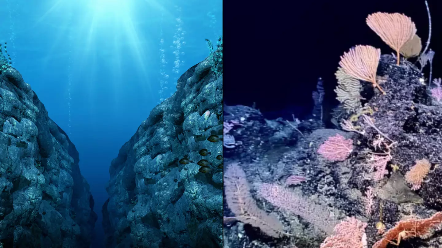 Mystery of ‘alien song’ heard in one of the deepest points in the ocean finally solved after baffling scientists for 10 years