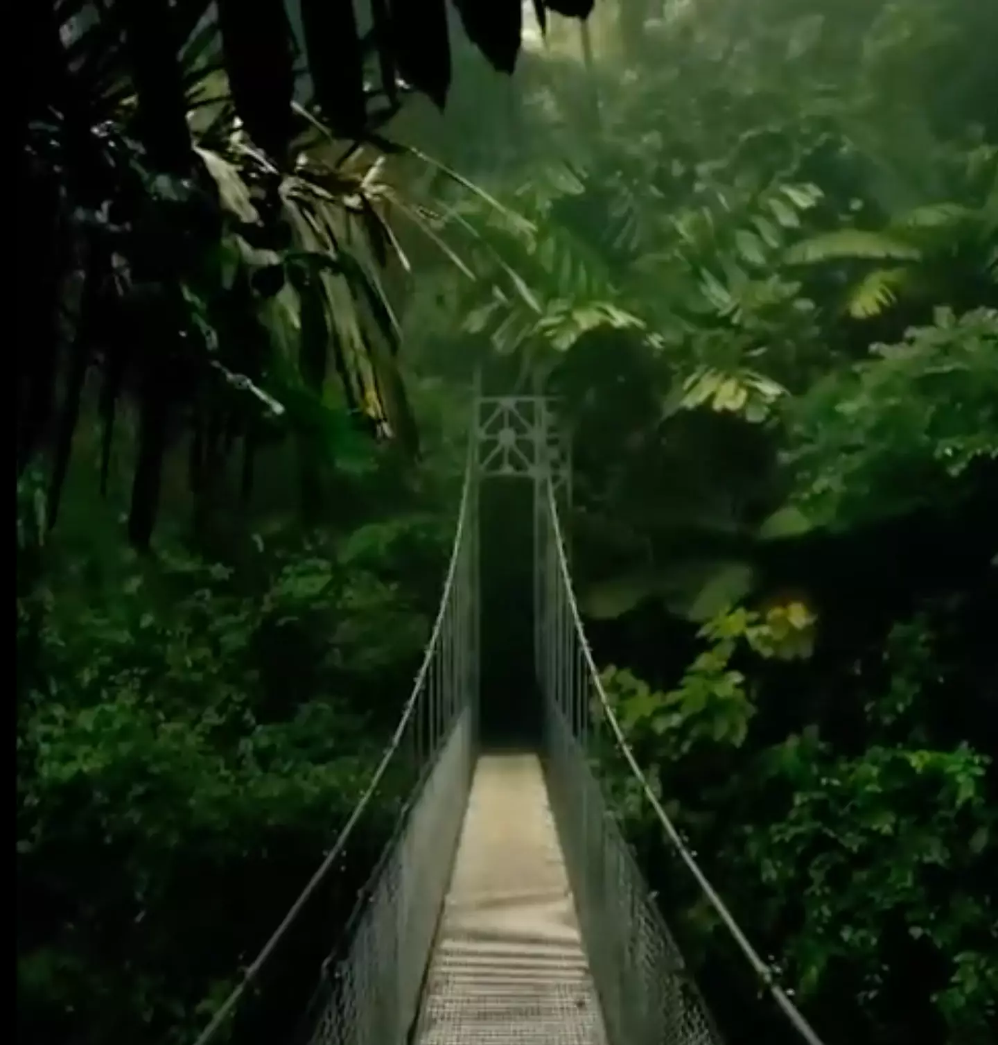 The teaser trailer showed the iconic rope bridge.