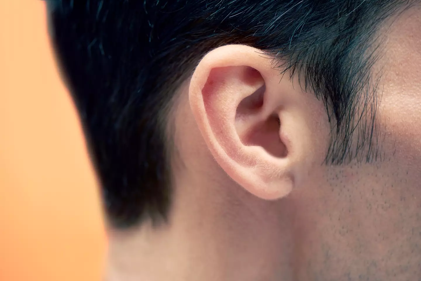 Look at this ear, unburdened by headphone or ear pod. Now silent walking can begin.