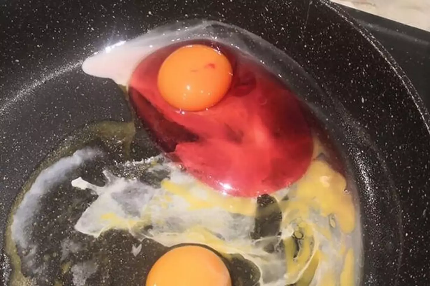 Here's what she saw.