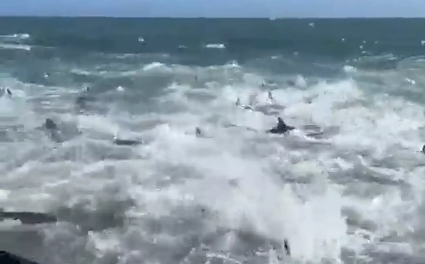 I think I'd avoid going for a dip in the sea right now.