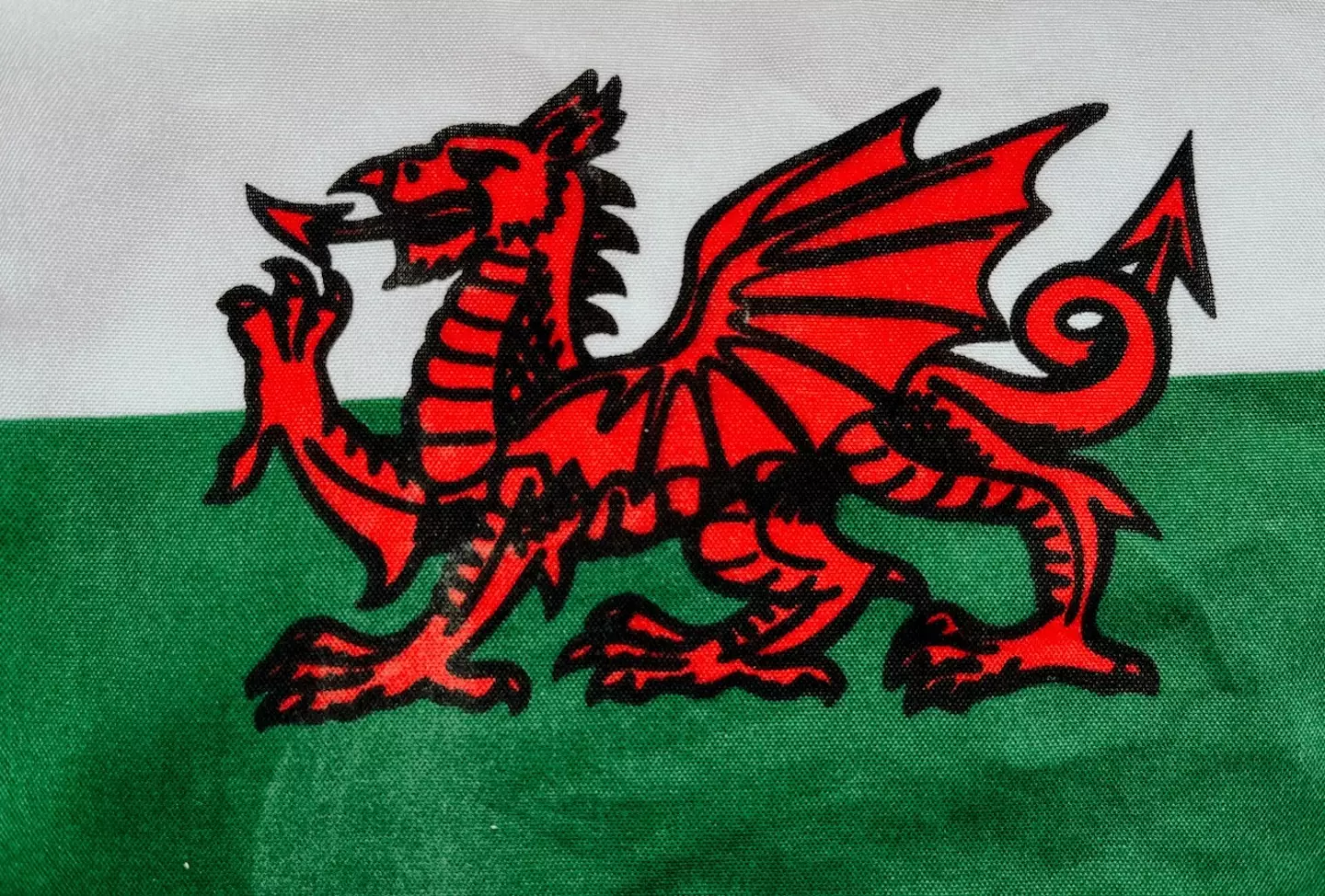A Wales supporter in Qatar has died, according to a fans' group.