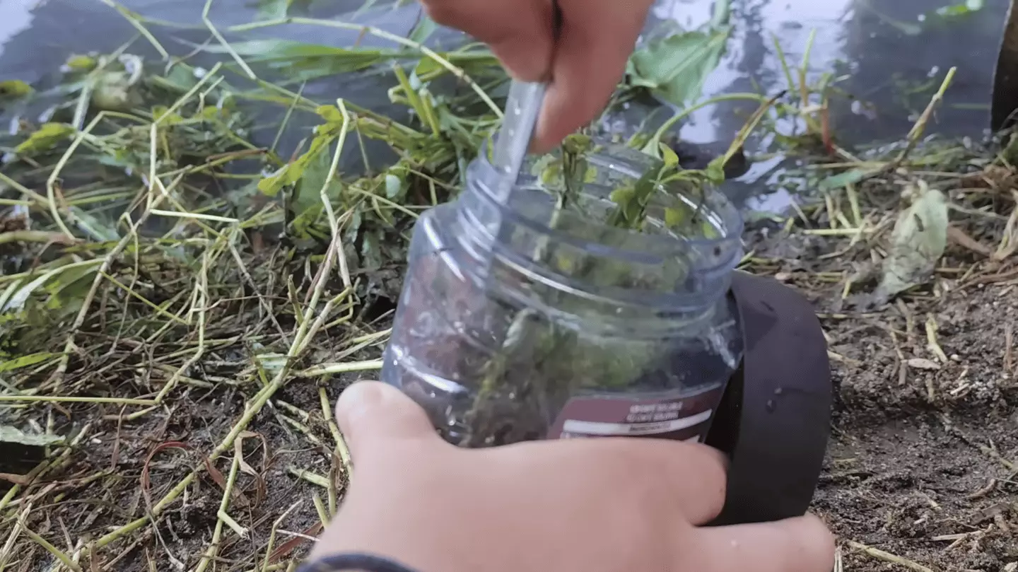 YouTube/HabitatForge