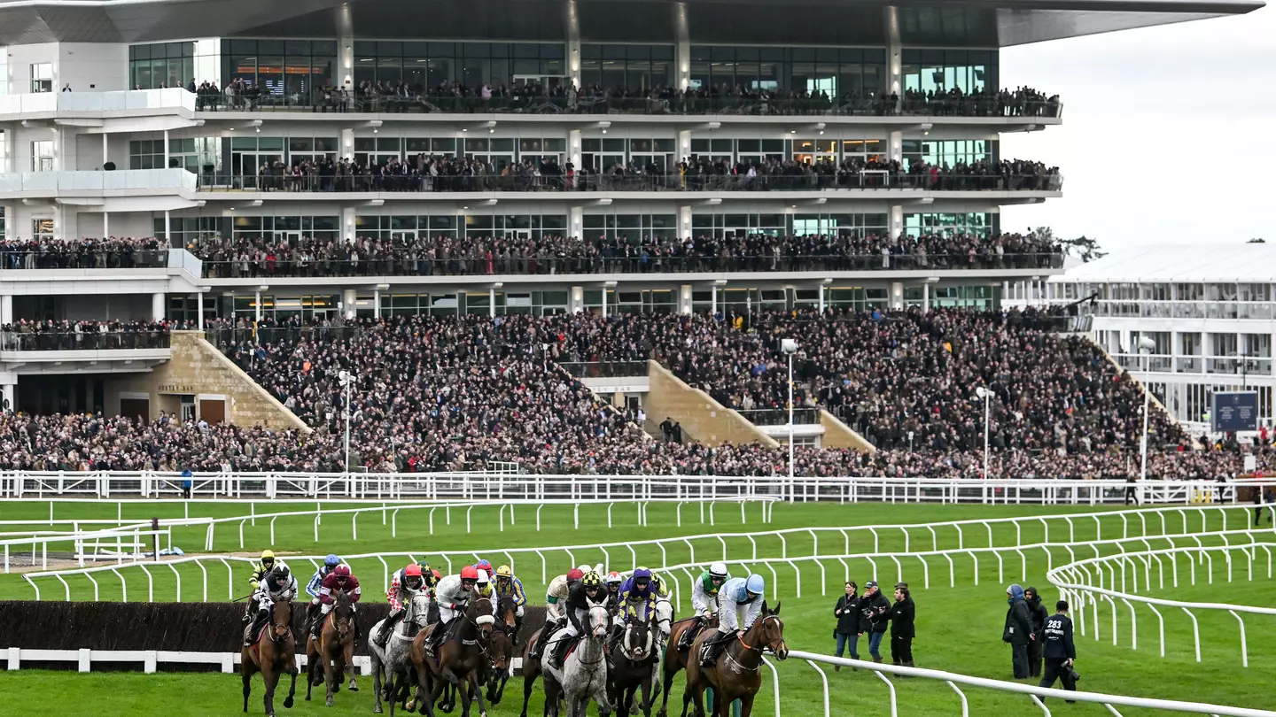 Bosses risk £1,000 fine for letting workers watch Cheltenham Festival in office