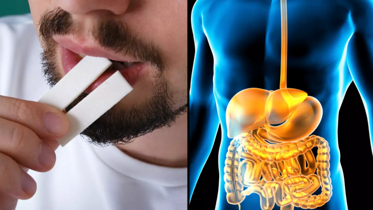 Truth behind what actually happens if you swallow chewing gum