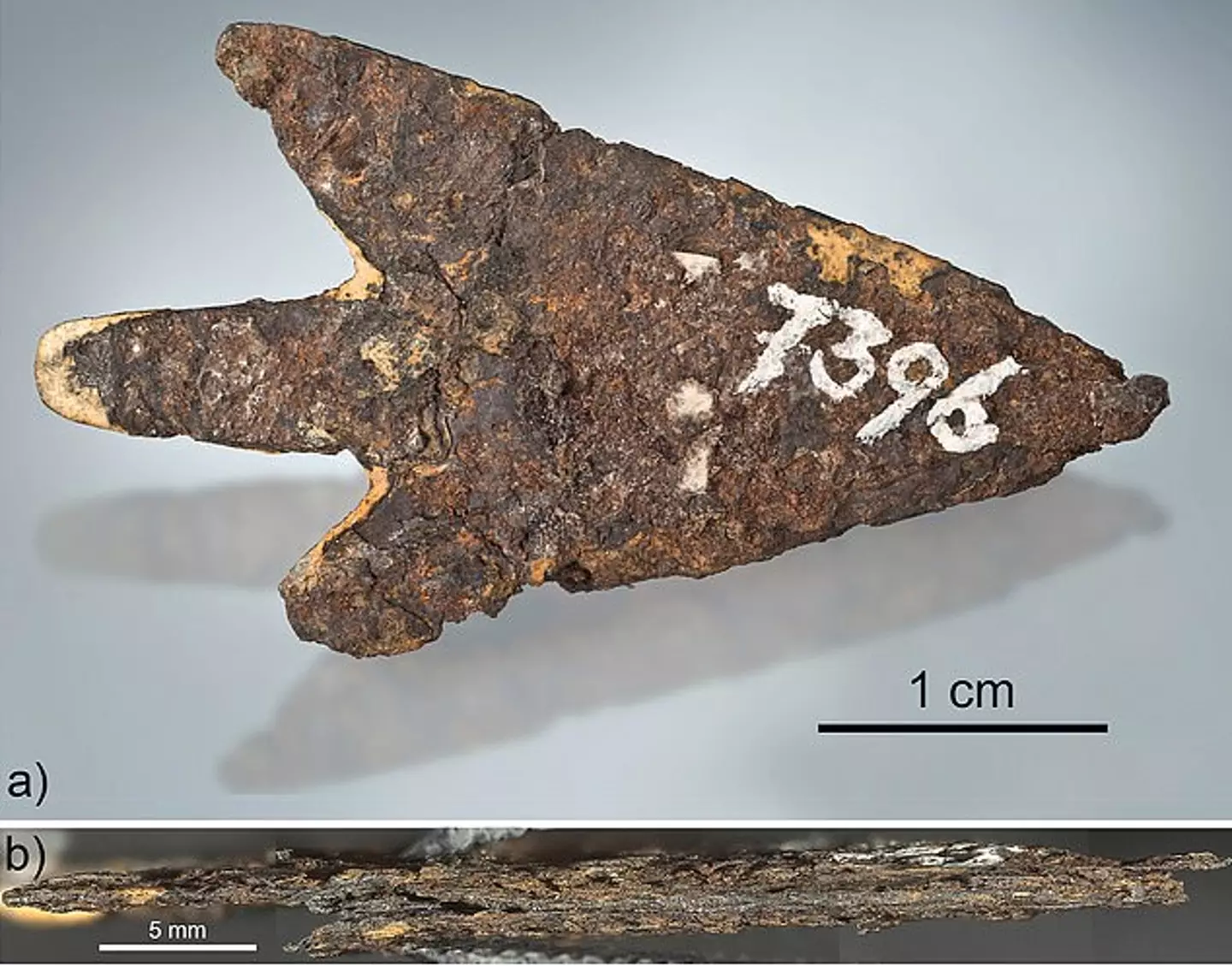 The arrowhead measures 1.5 inches long.