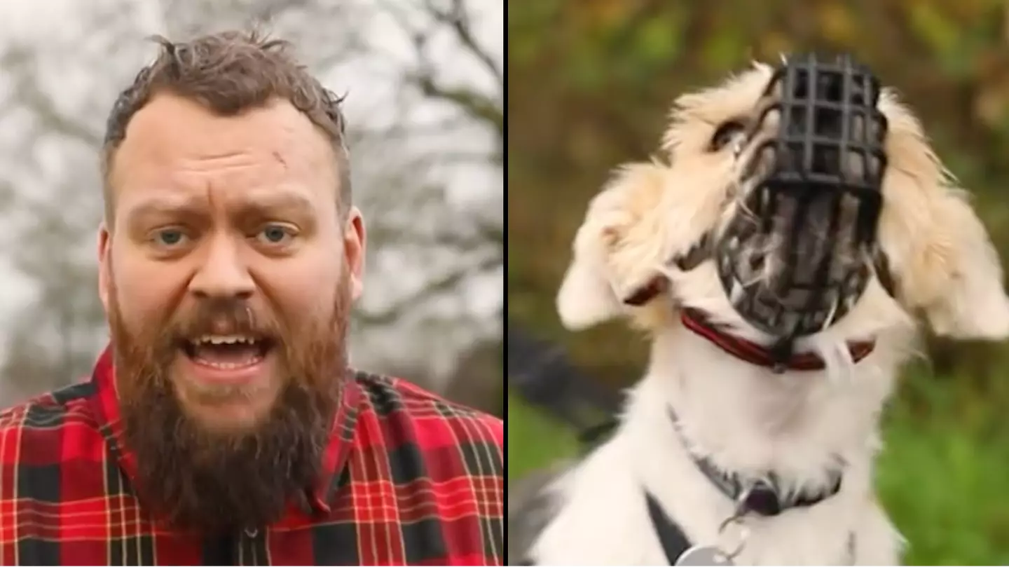 Man explained how he changed the behaviour of ‘the most dangerous dog breed in the UK’