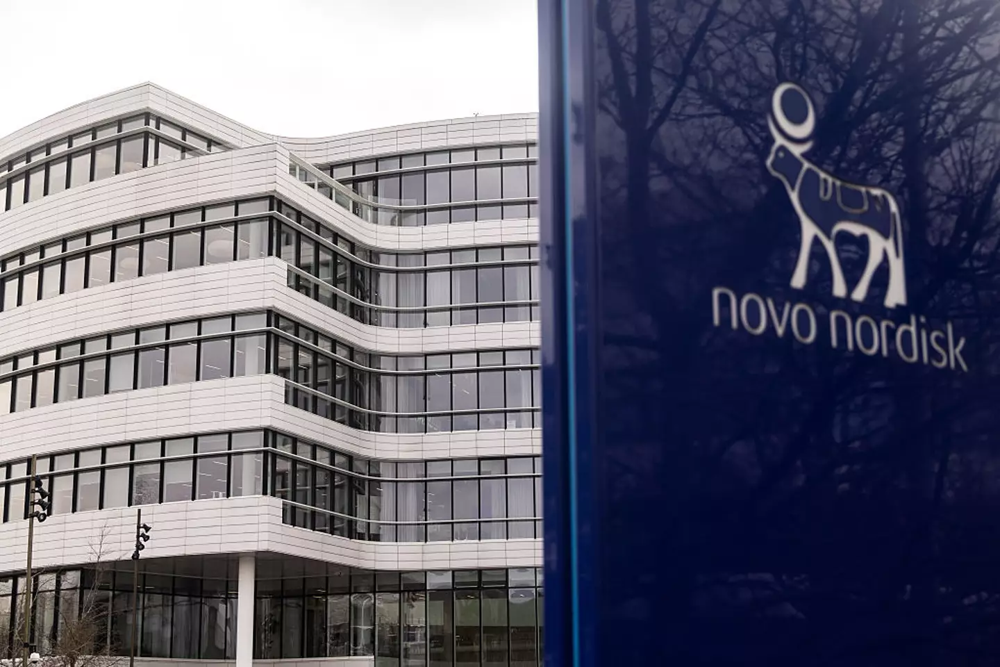 The study was funded by the company that makes Ozempic and Wegovy, which both use semaglutide (Kristian Tuxen Ladegaard Berg/SOPA Images/LightRocket via Getty Images)