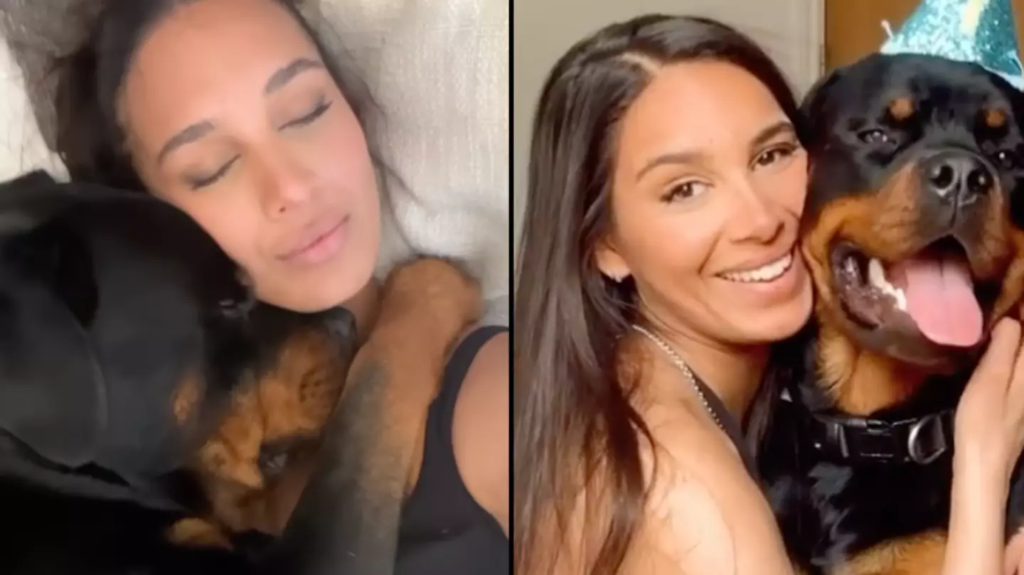 Owner cuddles Rottweiler after no one wanted to go near him at the dog park