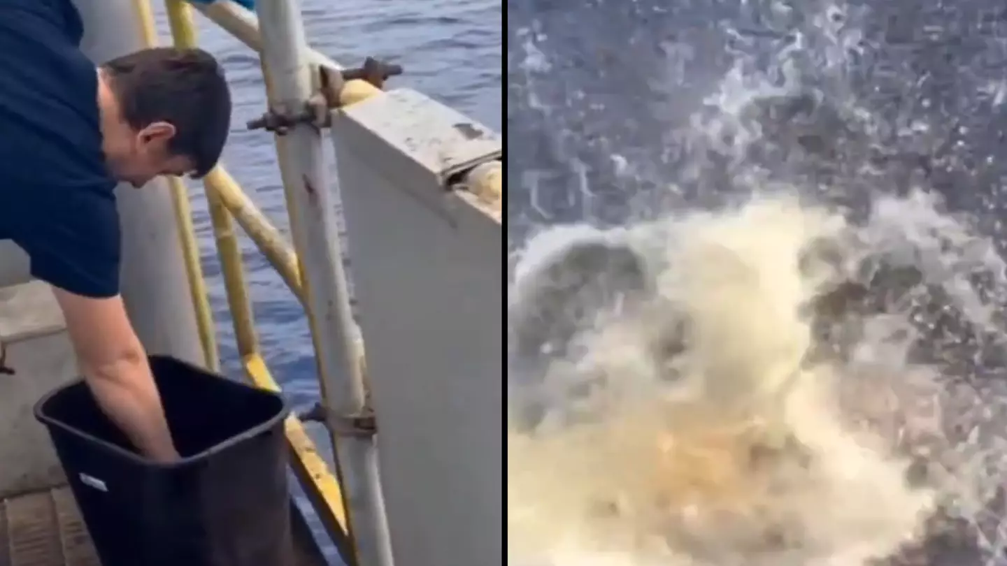 People terrified after seeing ‘what nightmares are made of’ when man threw meat off boat into the sea