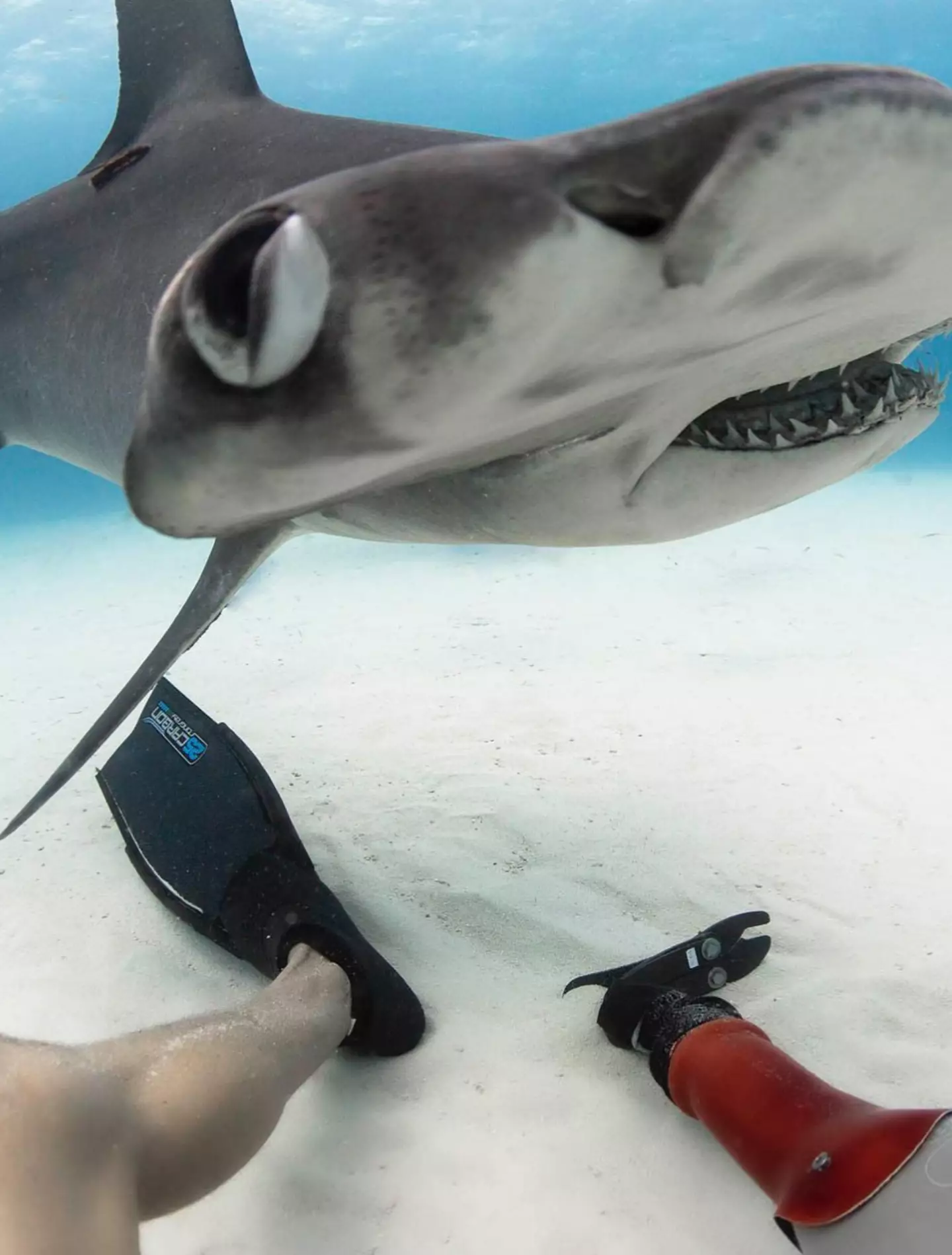 The traumatic experience hasn't stopped Coots.