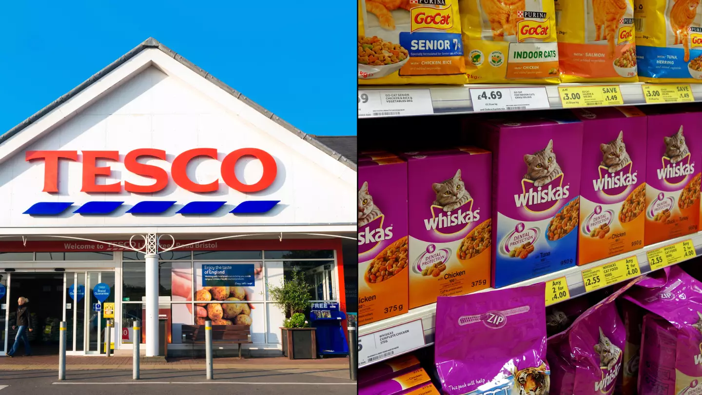 Tesco Will No Longer Stock Popular Pet Foods Including Whiskas, Pedigree And Dreamies