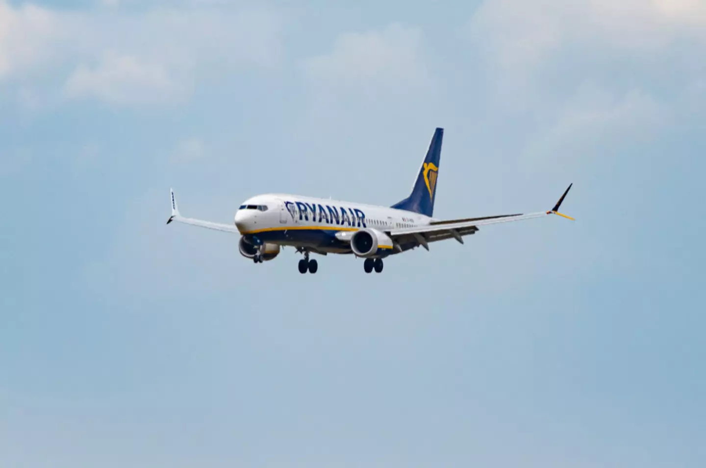 A Ryanair plane (Nicolas Economou/NurPhoto via Getty Images)