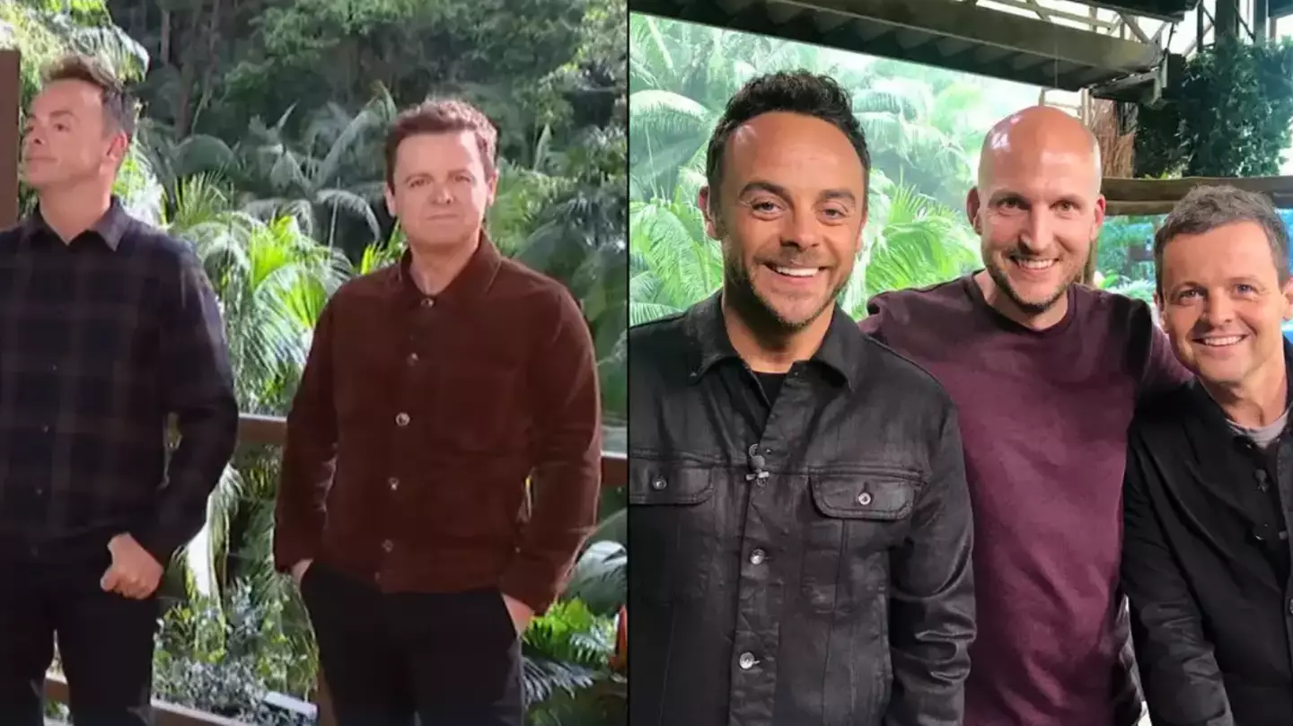 There's a 'third member' of Ant & Dec who works overnight shifts to write their I'm A Celeb jokes