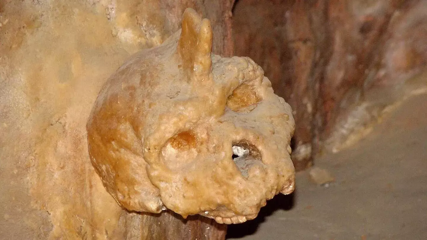 Archaeologists discover mystery skull dating back 286,000 years 'that's not human'