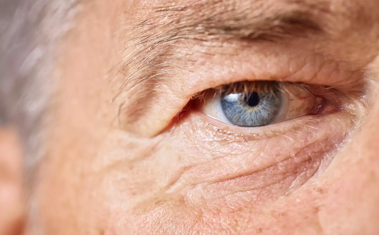 Everyone with blue eyes has the same genetic mutation and therefore, the same common ancestor (Getty Stock Image)