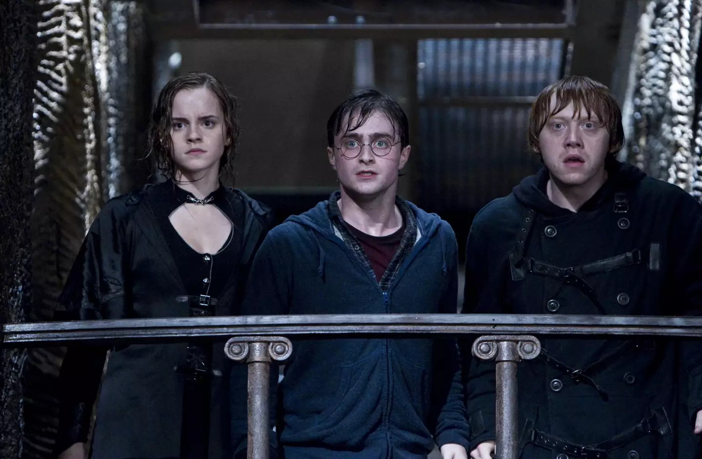 Who could possibly step into the shoes of Harry, Ron and Hermione?