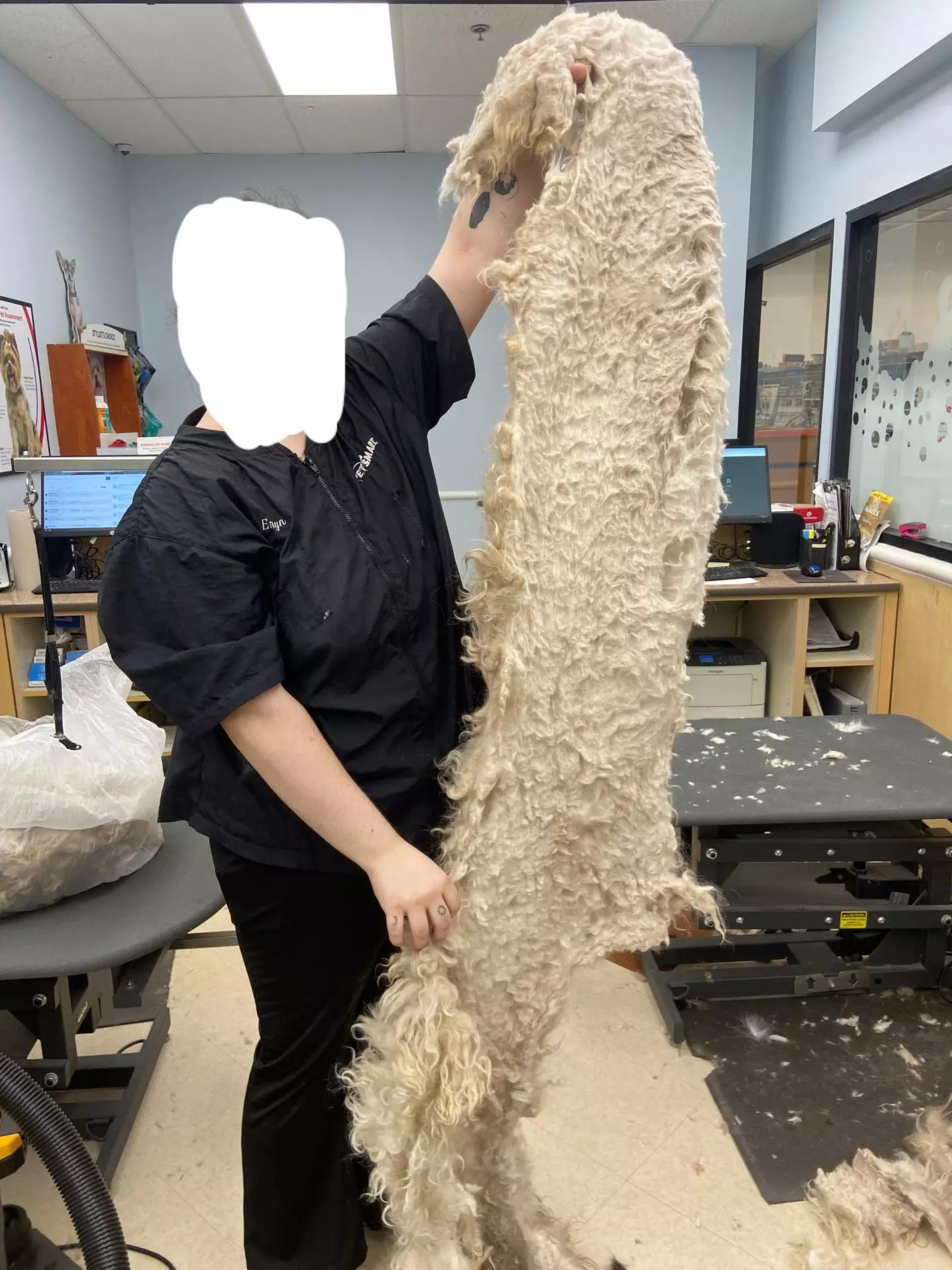 The dog was in a shocking condition (Hot_Communication968/Reddit)