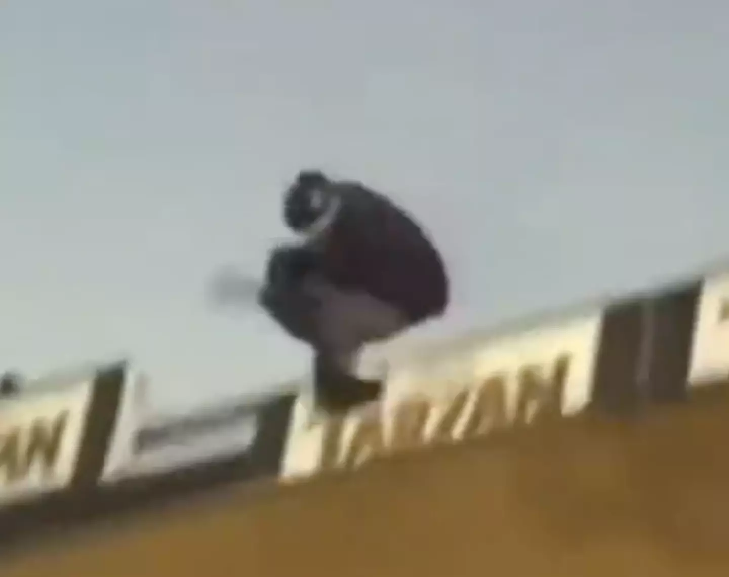 Is it a bird? Not technically, but it is a Hawk.