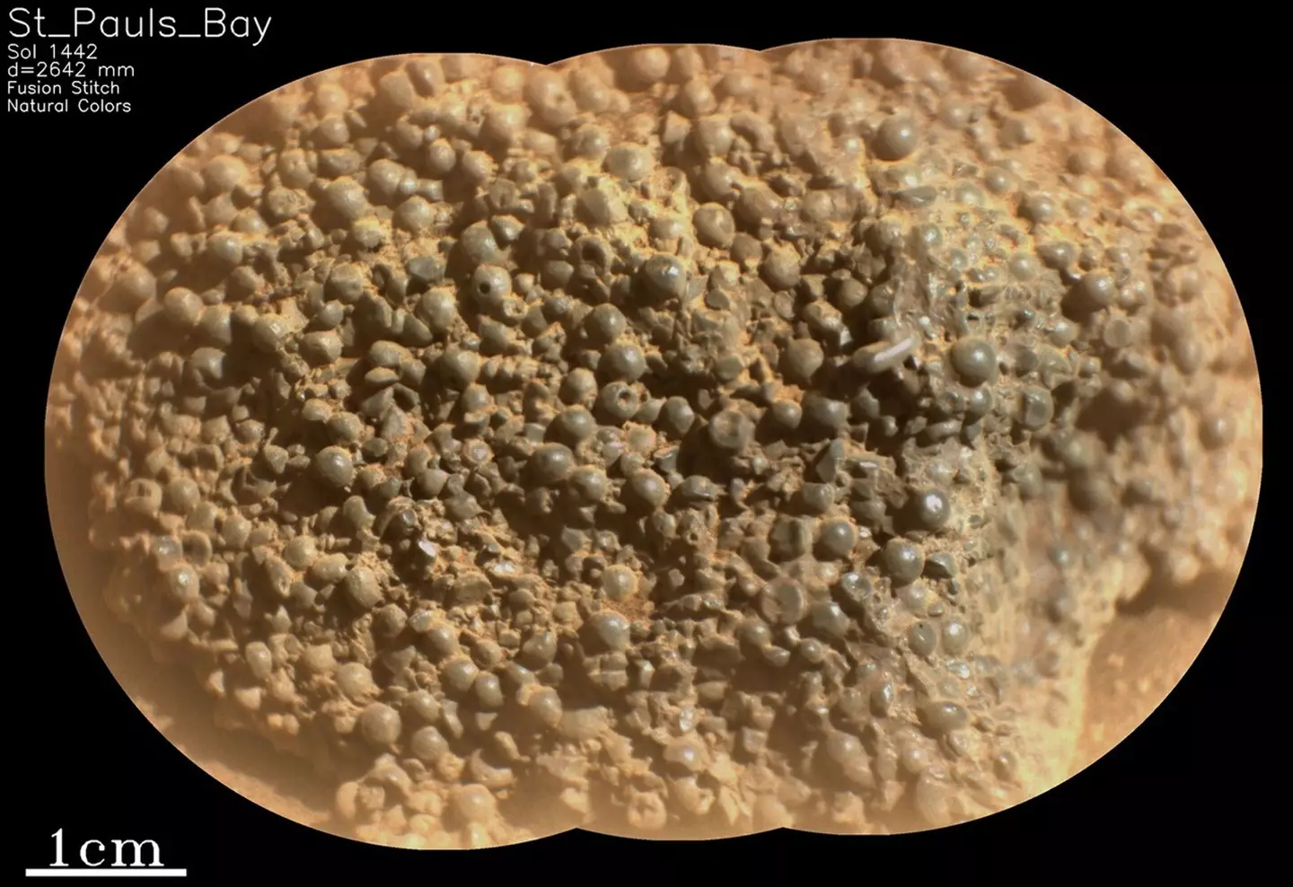 Up close and personal (NASA/JPL-Caltech/LANL/CNES/IRAP)