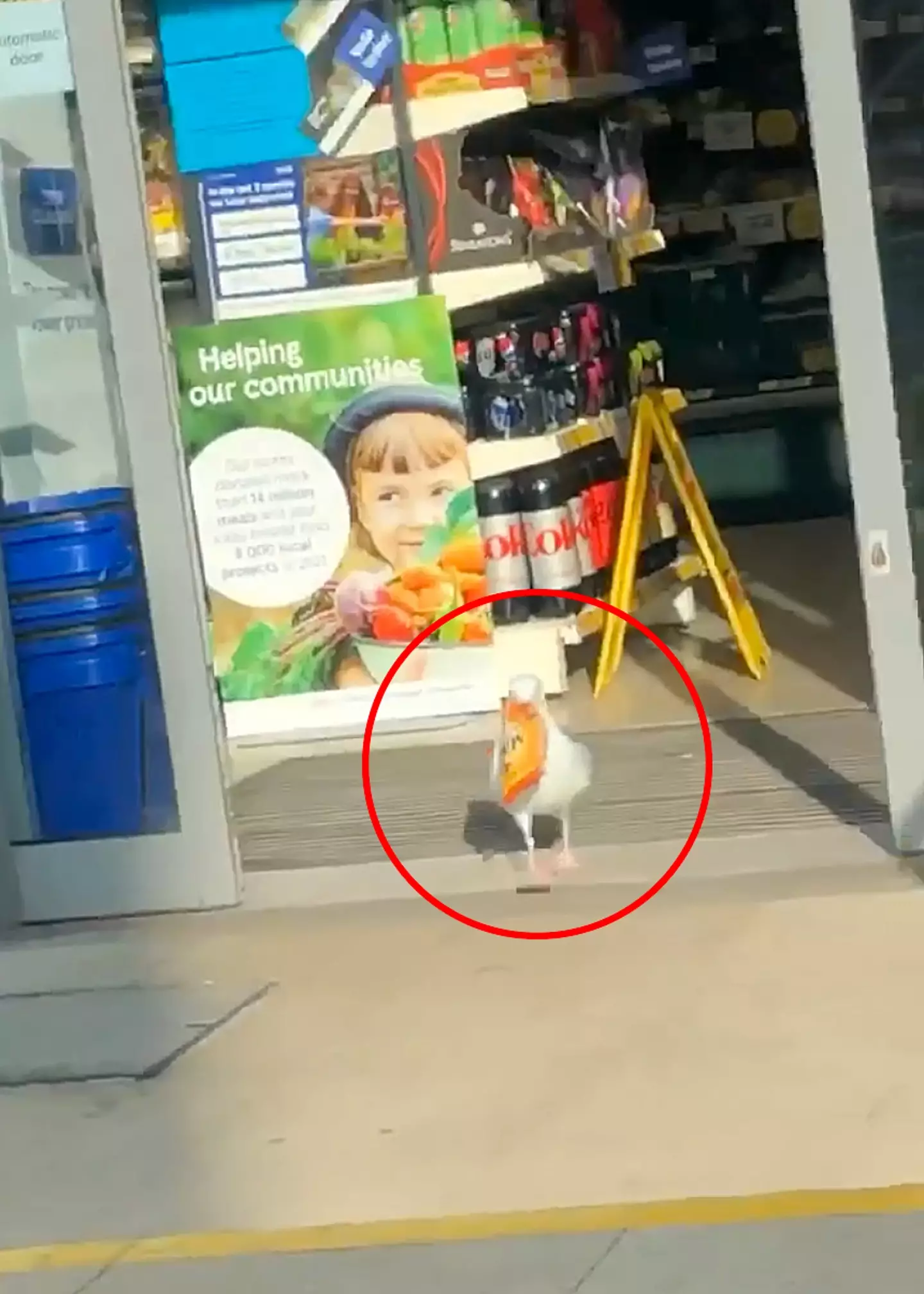 Steven stealing from the Tesco store is reported as being a 'common occurrence'.