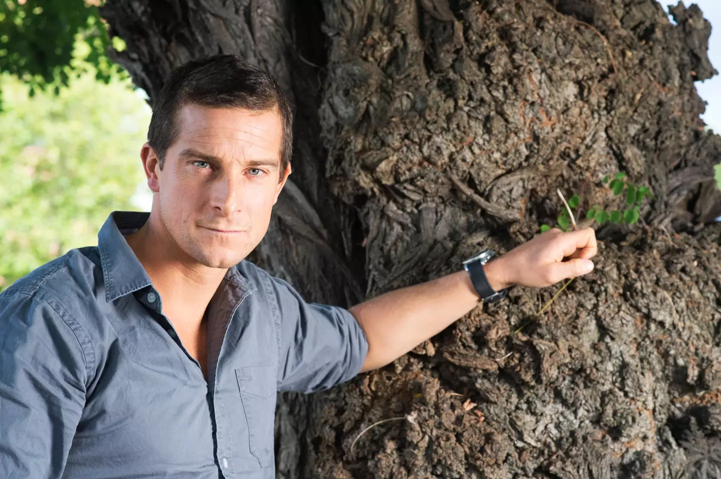 Grylls also recommends a cold shower to get you up and in a positive headspace in the mornings.
