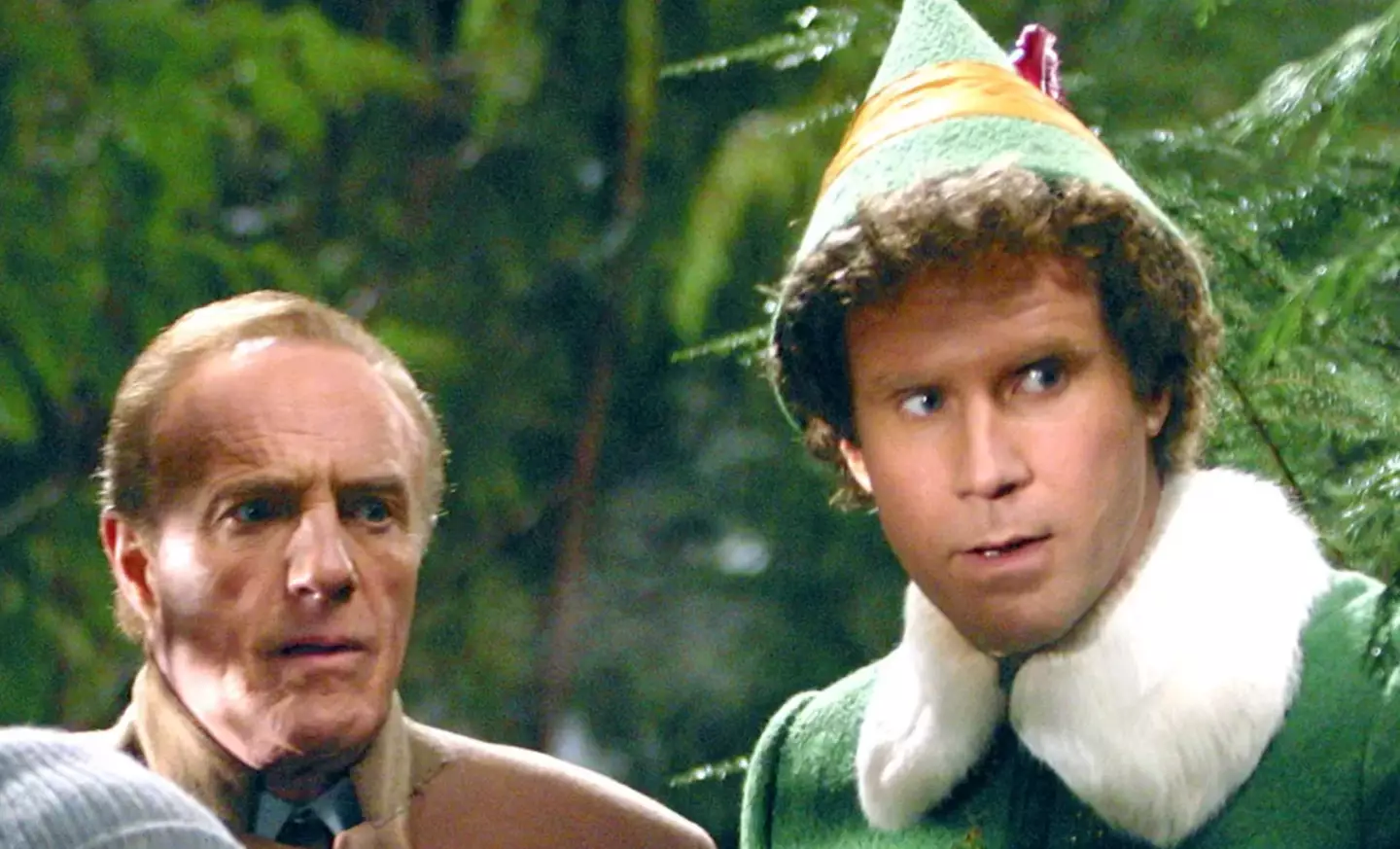 Caan never liked Buddy in the 2003 flick (Warner Bros)