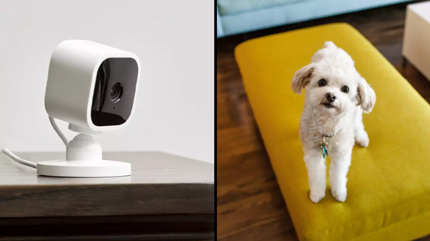 Huge Amazon Blink camera discount that's perfect for watching your pets