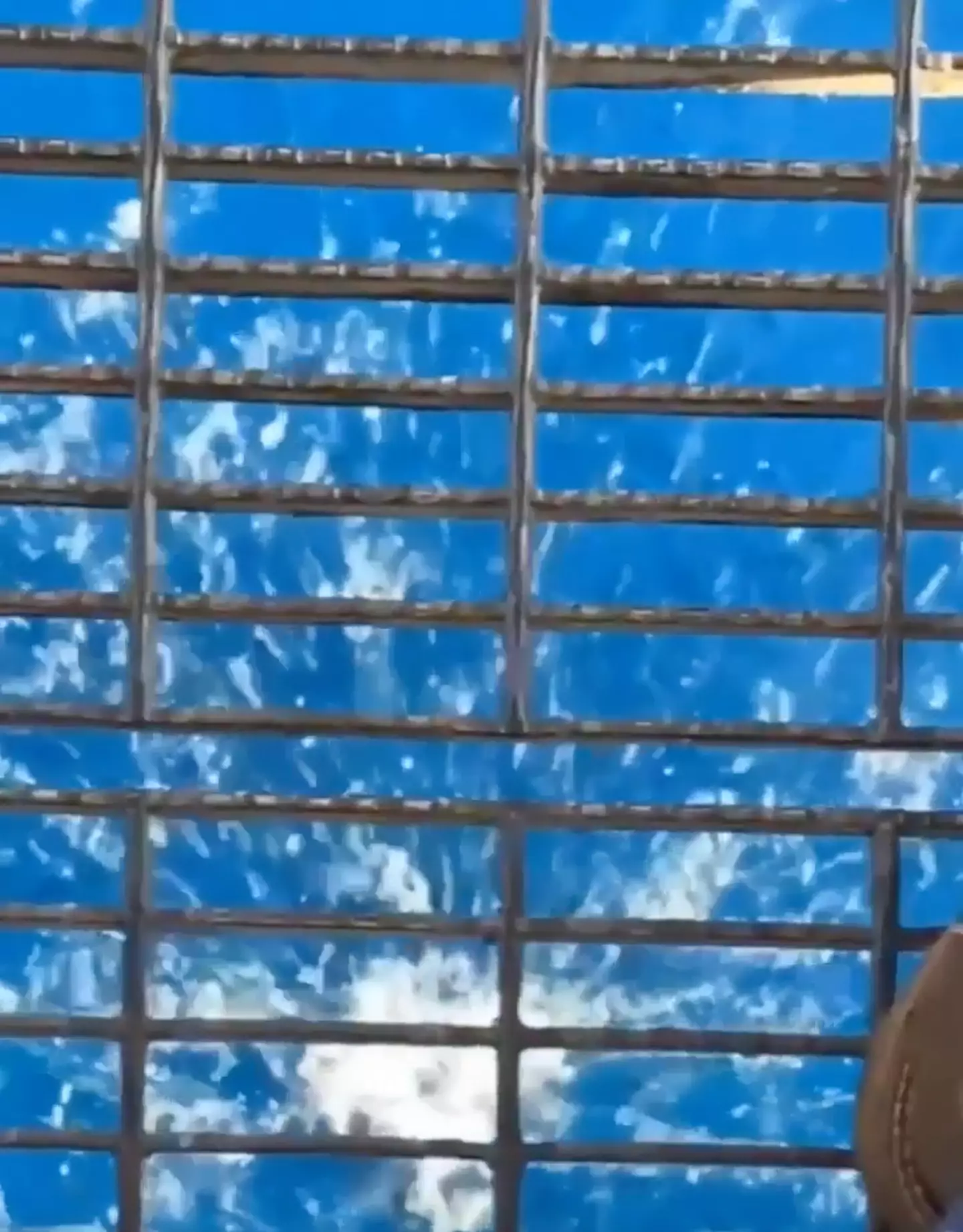 Survival of the fittest and all that (Reddit)