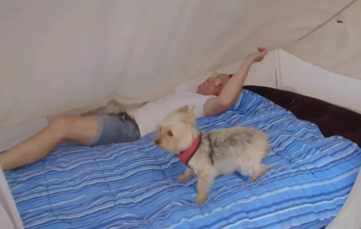 Some of the guests were not impressed with their accommodation.