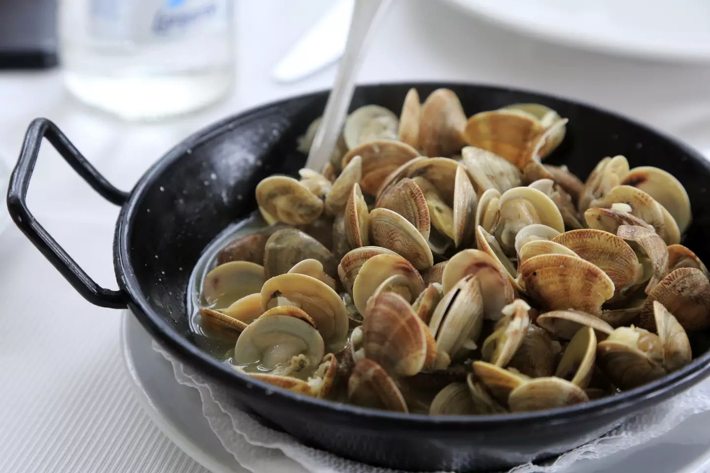 The chef served his guests raw clams, which were later discovered to have been infected by norovirus.