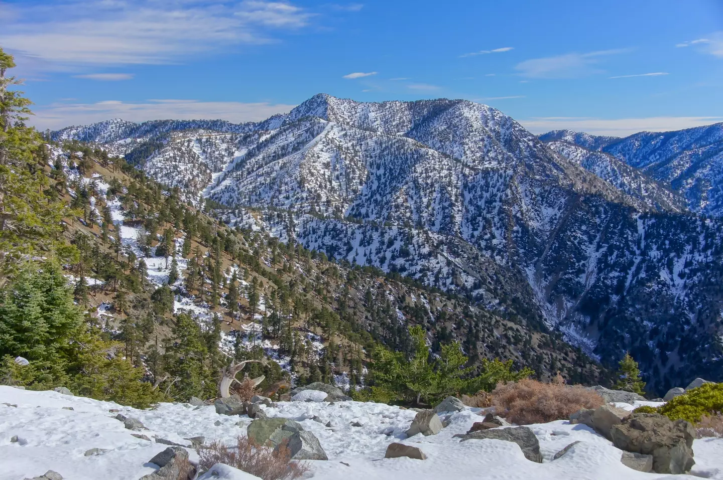 Human remains have been found near Mount Baldy.