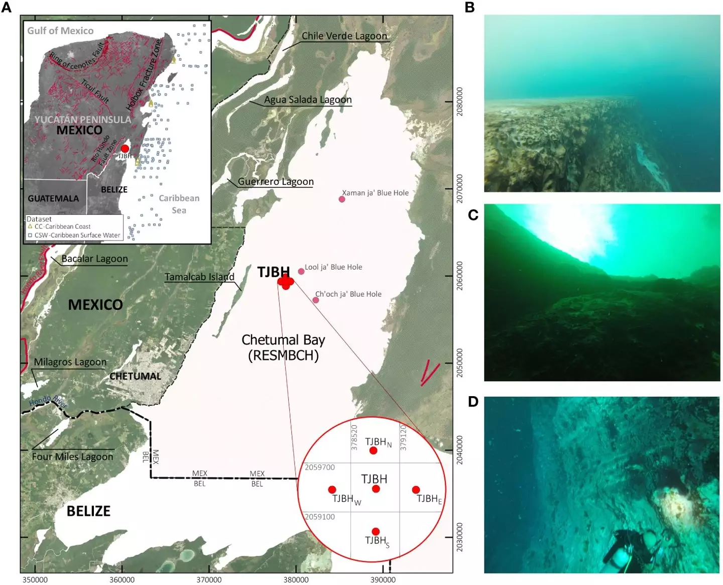 It's the deepest ever blue hole, that we know of at least. (Frontiers in Marine Science)