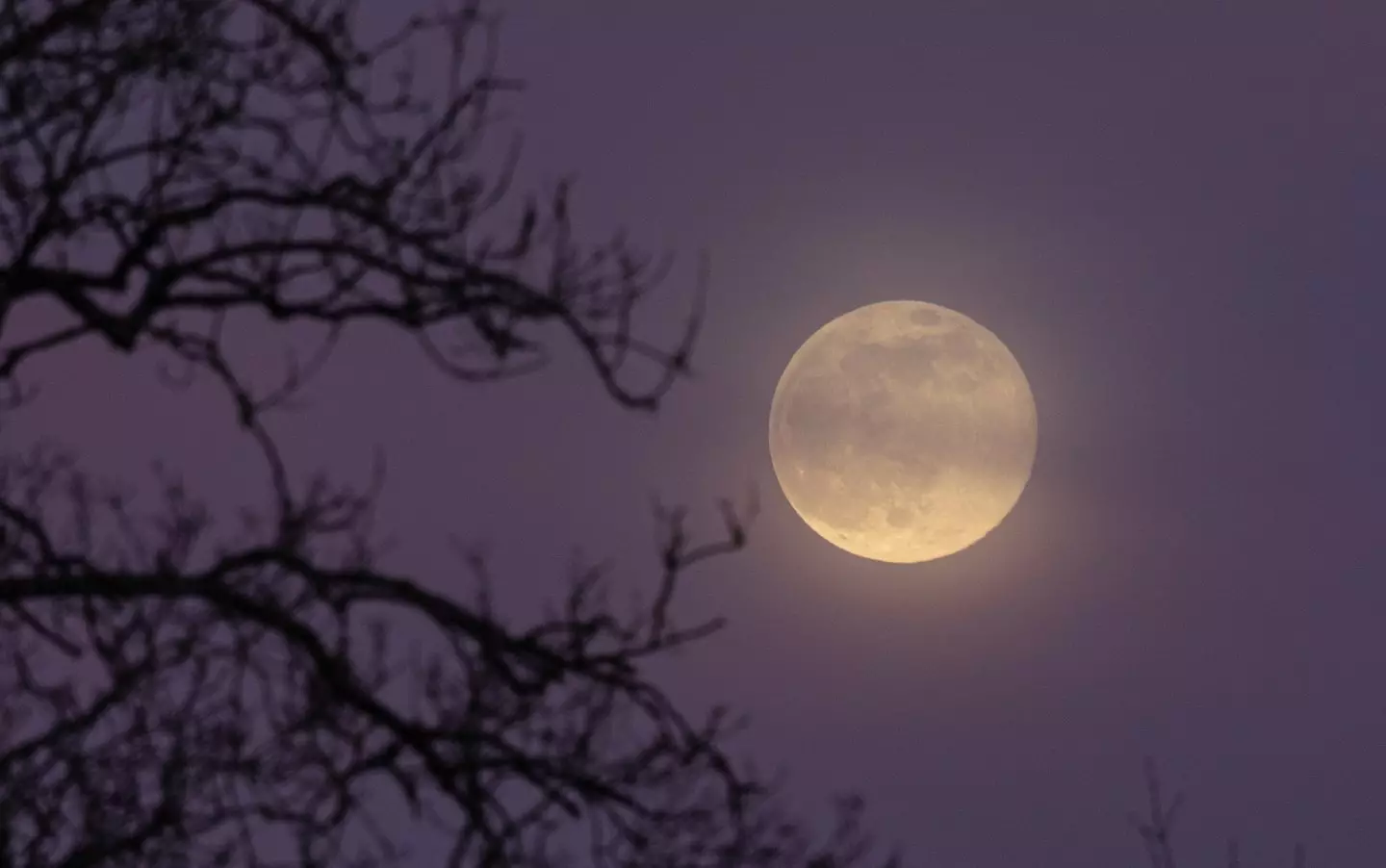 The Cold Moon is the last supermoon of the year (Matt Cardy/Getty Images)