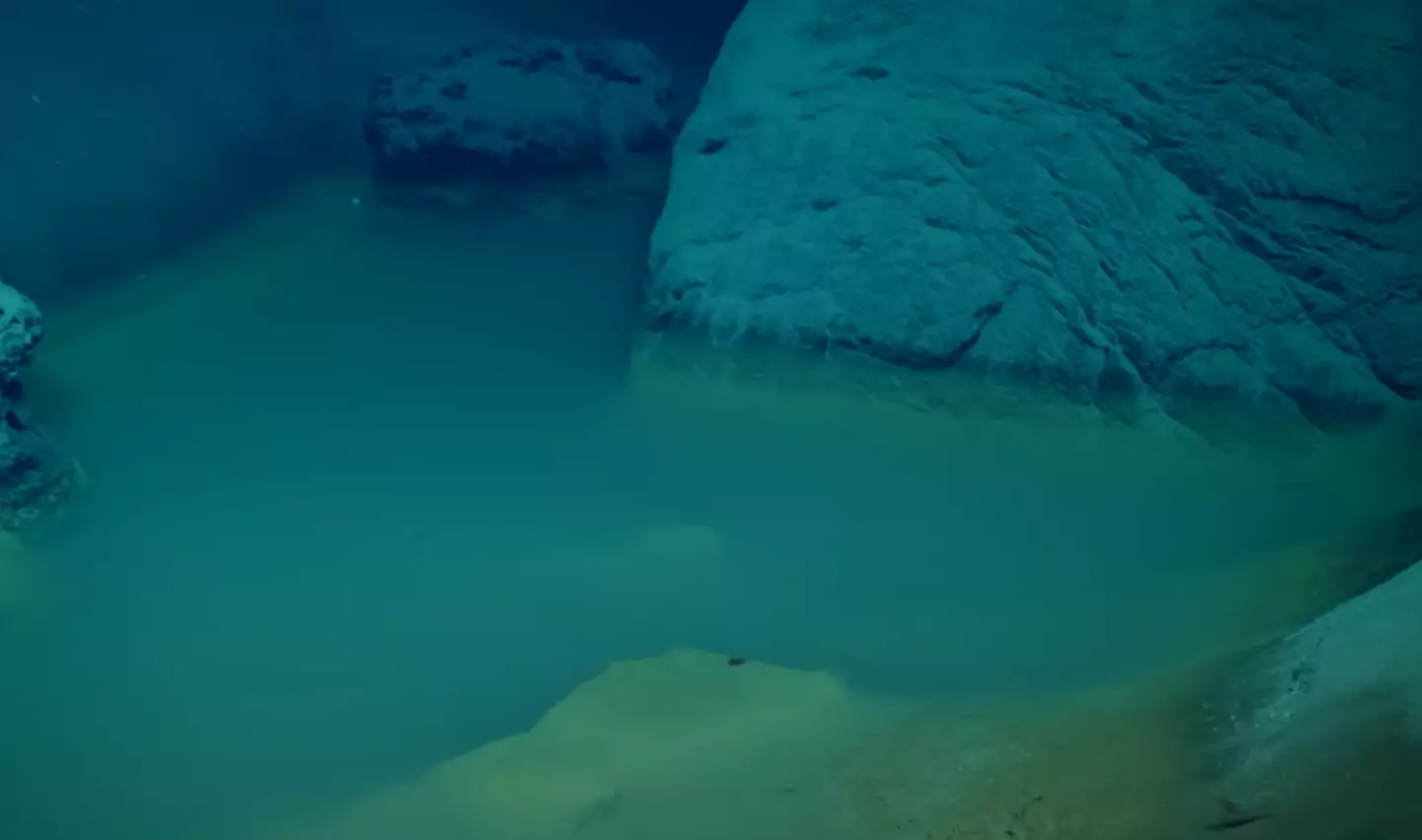 Now it may not look like much, but trust us on this one (YouTube/OceanX)