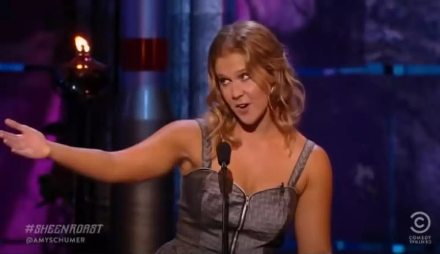 Amy Schumer's joke touched a nerve with many viewers.