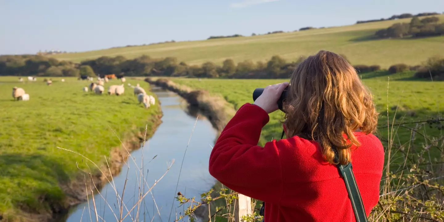 South Downs national park.
