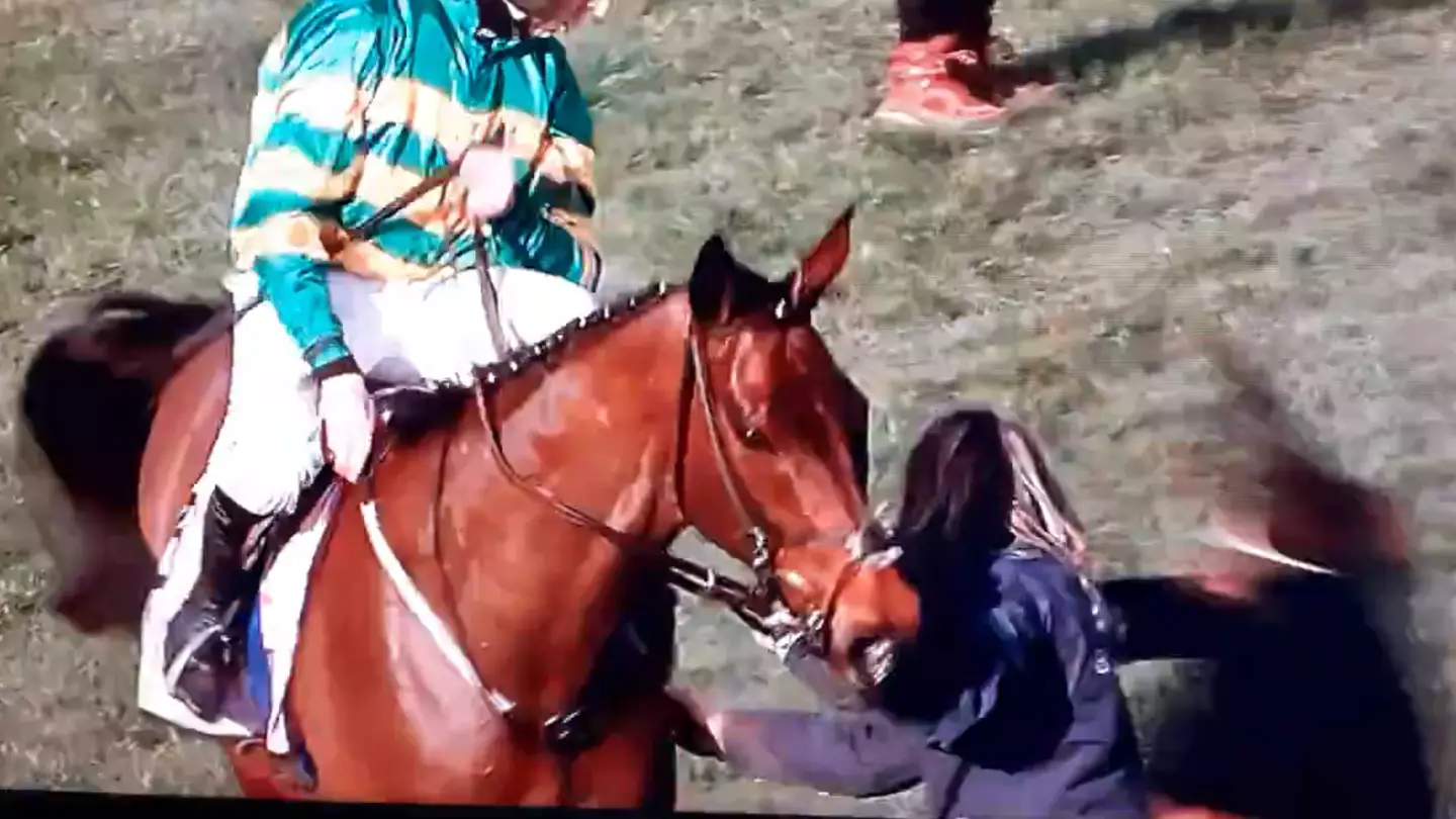 Shocking moment Cheltenham Gold Cup Winner kicks and sends vet flying live on TV
