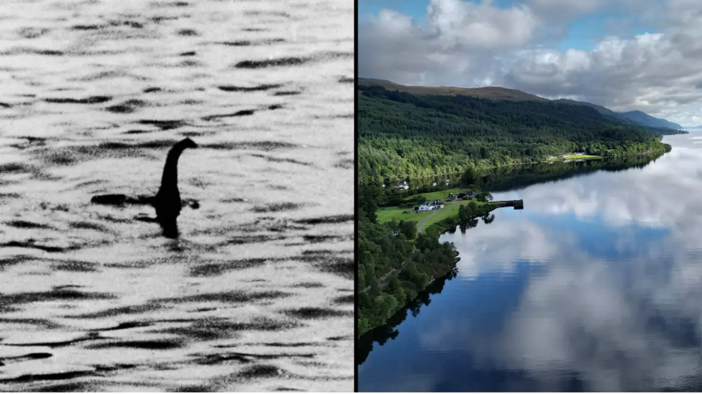 Man claims he found the Loch Ness Monster and buried it beneath a school