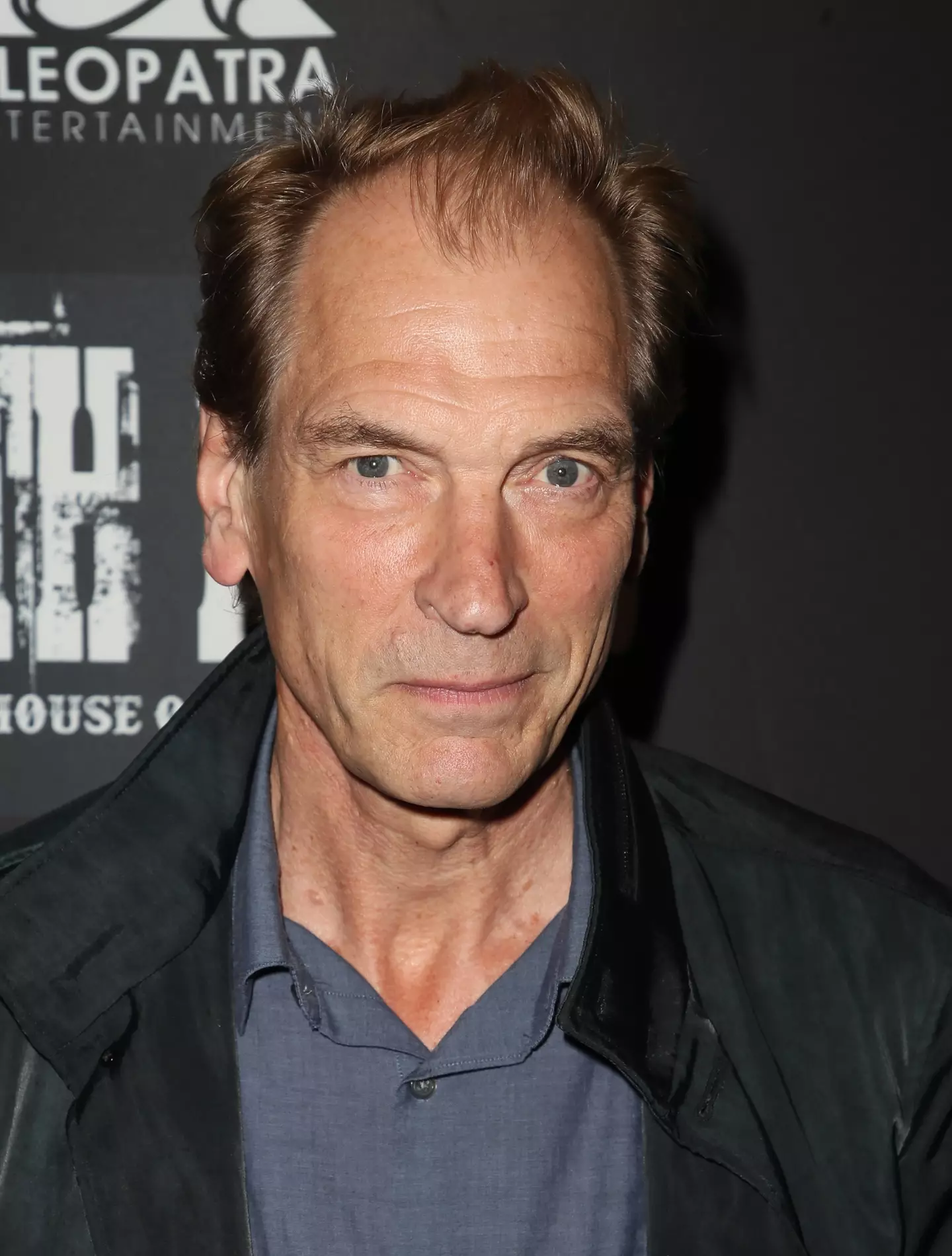Julian Sands' cause of death is 'undetermined'.