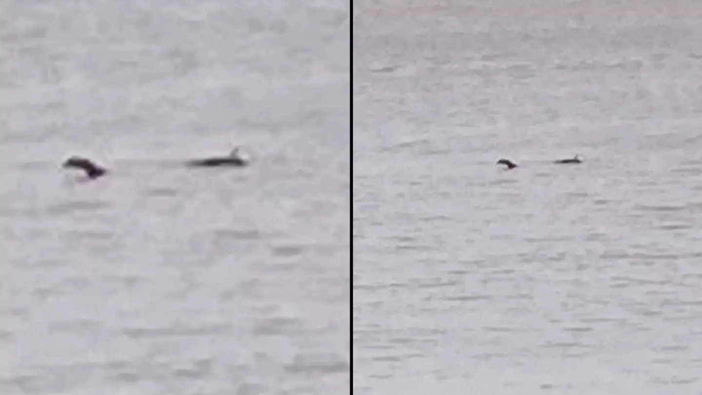 ‘Loch Ness monster’ spotted off English coast